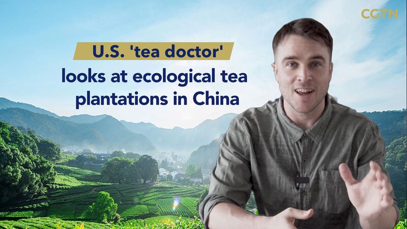 U_S___Tea_Doctor__Brews_Eco_Friendly_Science_in_China____poster - 🌍NewspaperAmigo – Your Global News Buddy 🗞️ U_S___Tea_Doctor__Brews_Eco_Friendly_Science_in_China___ video poster