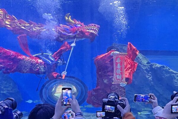 Underwater Dragon Dance Stuns Crowds in Wuhan 🌊🐉 Underwater_Dragon_Dance_Stuns_Crowds_in_Wuhan___