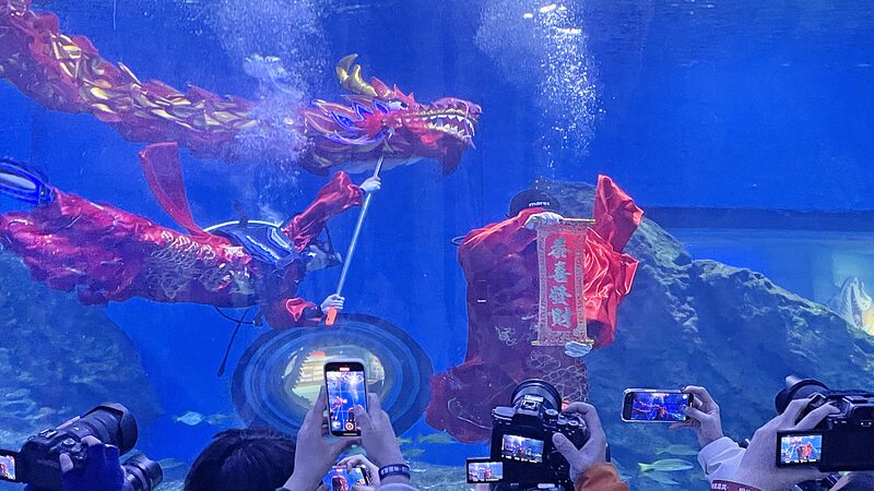 Underwater_Dragon_Dance_Stuns_Crowds_in_Wuhan___