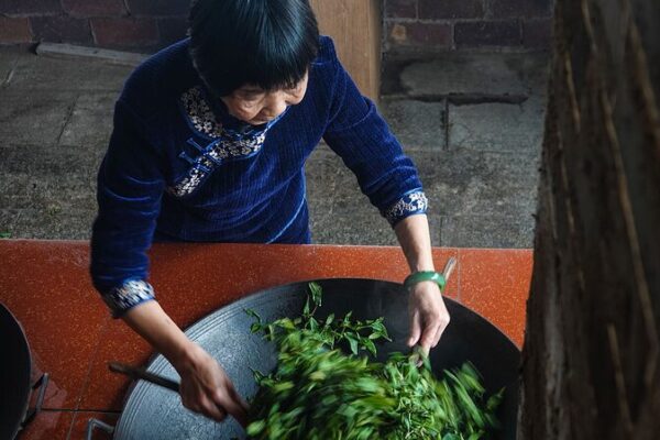Unlocking the Secrets of Guangxi’s Liubao Tea with Master Wei Unlocking_the_Secrets_of_Guangxi_s_Liubao_Tea_with_Master_Wei
