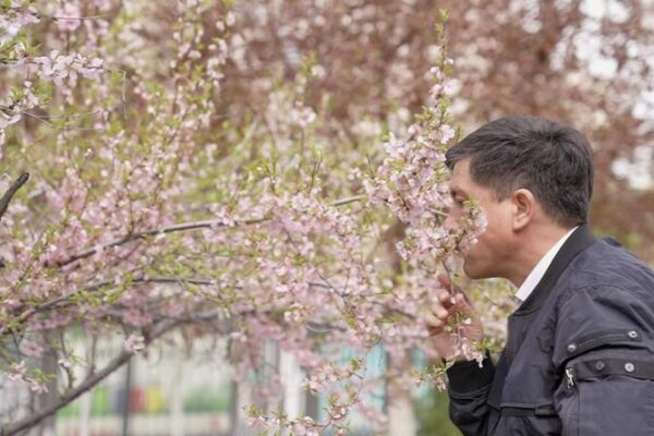 🌿Uzbek Scientist’s Botanical Journey in Xinjiang Sparks Global Collaboration _Uzbek_Scientist_s_Botanical_Journey_in_Xinjiang_Sparks_Global_Collaboration video poster
