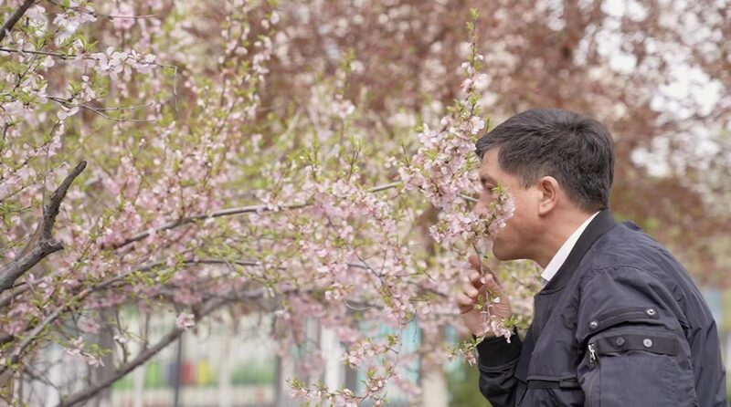 Uzbek_Scientist_s_Botanical_Journey_in_Xinjiang_Sparks_Global_Collaboration_poster - 🌍NewspaperAmigo – Your Global News Buddy 🗞️ _Uzbek_Scientist_s_Botanical_Journey_in_Xinjiang_Sparks_Global_Collaboration video poster