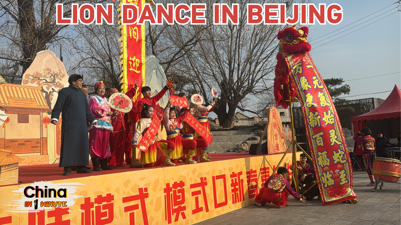 Vibrant Lion Dance Lights Up Beijing’s Moshikou New Year Festival ๐ฆโจ Vibrant_Lion_Dance_Lights_Up_Beijing_s_Moshikou_New_Year_Festival___ video poster