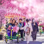 Vibrant_Plum_Blossoms_Brighten_Early_Spring_in_Huzhou