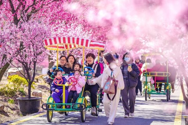 Vibrant_Plum_Blossoms_Brighten_Early_Spring_in_Huzhou