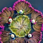 Vietnam_s_Romantic_Water_Lily_Harvest__A_Photographers__Paradise___