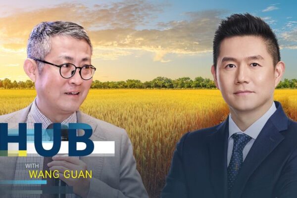 🌍 WFP China Chief: 309 Million Face Hunger in 2024, China’s Food Strategy Praised 🍚 __WFP_China_Chief__309_Million_Face_Hunger_in_2024__China_s_Food_Strategy_Praised__ video poster