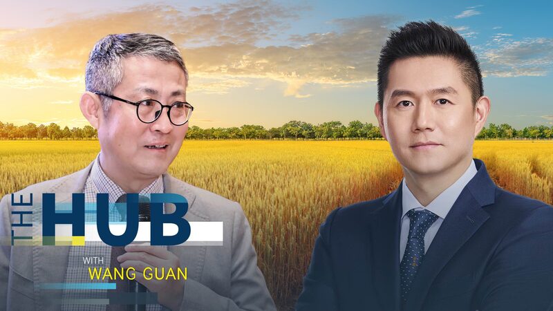 __WFP_China_Chief__309_Million_Face_Hunger_in_2024__China_s_Food_Strategy_Praised__ video poster