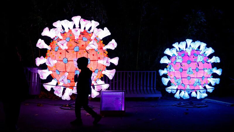 WHO_Settles_Debate__What_Does__Through_the_Air__Really_Mean____ - 🌍NewspaperAmigo – Your Global News Buddy 🗞️ WHO_Settles_Debate__What_Does__Through_the_Air__Really_Mean____