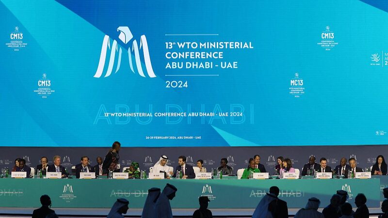 __WTO_s_Abu_Dhabi_Conference__Reviving_Global_Trade_Together