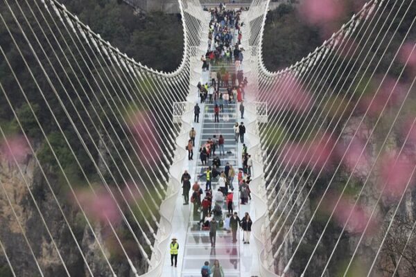 Walk on Air: Hunan’s Glass Bridge Thrills Spring Travelers 🌉 Walk_on_Air__Hunan_s_Glass_Bridge_Thrills_Spring_Travelers__