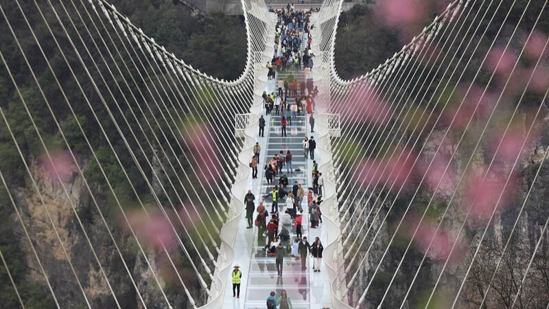 Walk_on_Air__Hunan_s_Glass_Bridge_Thrills_Spring_Travelers__ - 🌍NewspaperAmigo – Your Global News Buddy 🗞️ Walk_on_Air__Hunan_s_Glass_Bridge_Thrills_Spring_Travelers__