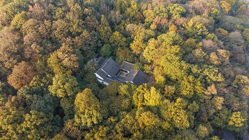 West_Lake__Hangzhou_s_Timeless_UNESCO_Gem___