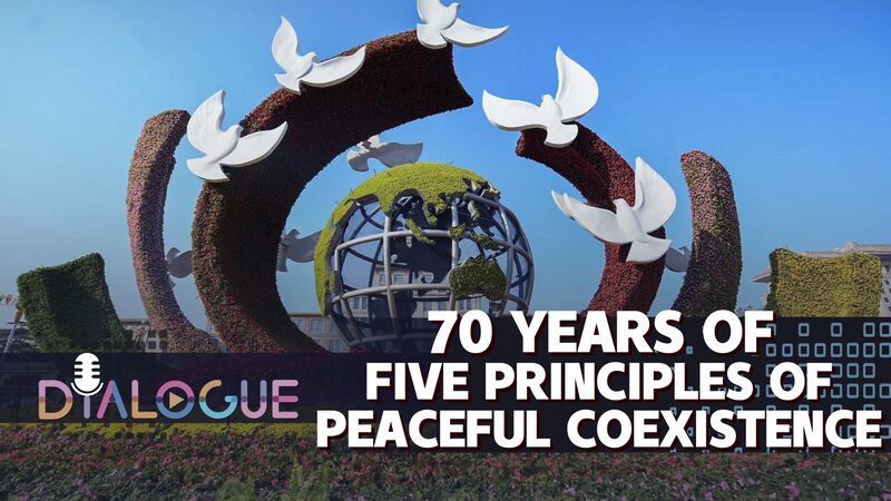 Why the Five Principles of Peaceful Coexistence Still Matter ๐โจ Why_the_Five_Principles_of_Peaceful_Coexistence_Still_Matter___ video poster