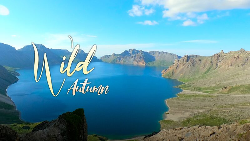 Wild_Autumn_at_Changbai_Mountain__A_Nature_Lover_s_Paradise____poster - 🌍NewspaperAmigo – Your Global News Buddy 🗞️ Wild_Autumn_at_Changbai_Mountain__A_Nature_Lover_s_Paradise___ video poster
