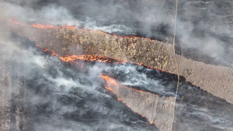 Wildfire Worries: How Climate Change is Fueling the Flames in the USA 🔥🌎 Wildfire_Worries__How_Climate_Change_is_Fueling_the_Flames_in_the_USA___ video poster