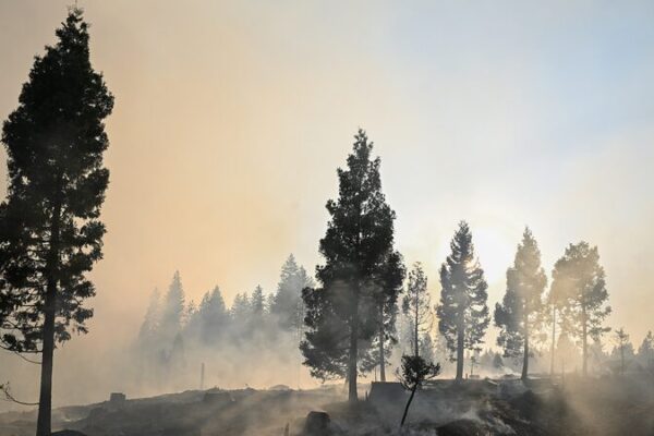 🔥 Wildfires Blaze Through Western U.S.; Park Fire Becomes California’s Fourth Largest 🔥🌲 __Wildfires_Blaze_Through_Western_U_S___Park_Fire_Becomes_California_s_Fourth_Largest___