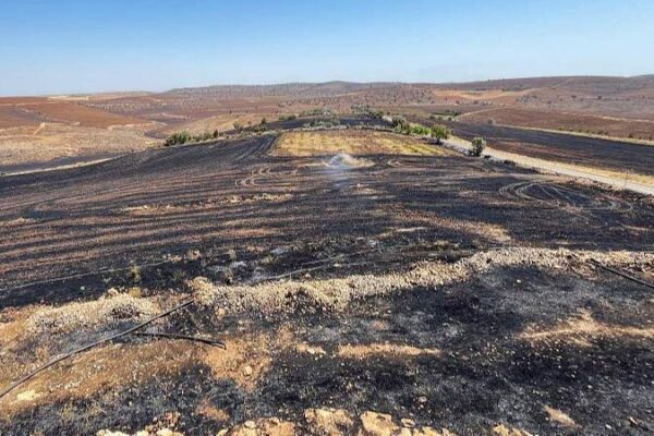 Wildfires_Claim_11_Lives_in_Southeast_Tu_rkiye____