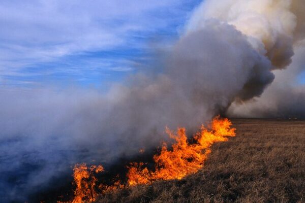 Wildfires Engulf Mongolia: 685K Hectares Burned ๐ฒ๐ฅ Wildfires_Engulf_Mongolia__685K_Hectares_Burned___