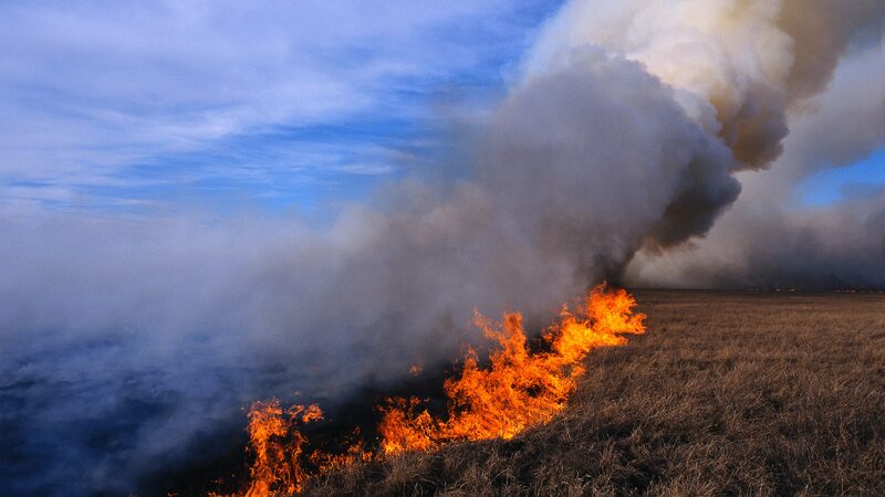 Wildfires_Engulf_Mongolia__685K_Hectares_Burned___ - 🌍NewspaperAmigo – Your Global News Buddy 🗞️ Wildfires_Engulf_Mongolia__685K_Hectares_Burned___