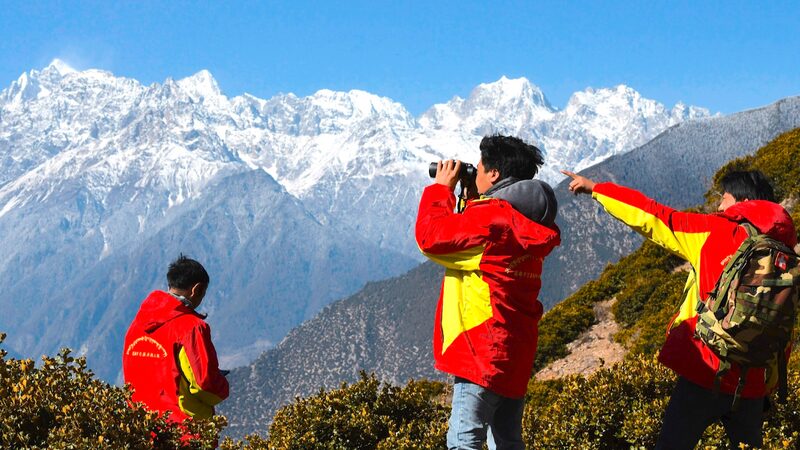 Wildlife_Boom_in_Xizang______How__Eco_Guardians__Are_Saving_the_Plateau