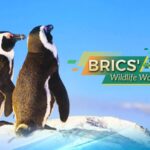 Wildlife_Wonders__South_Africa_s_Big_Four_____