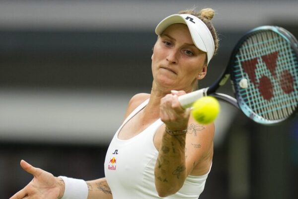 Wimbledon Champ Vondrousova Recovers After Shoulder Surgery 🎾✨ Wimbledon_Champ_Vondrousova_Recovers_After_Shoulder_Surgery___