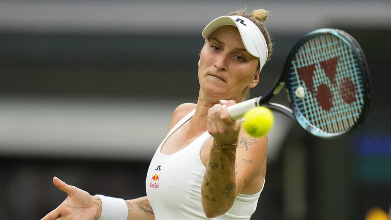 Wimbledon_Champ_Vondrousova_Recovers_After_Shoulder_Surgery___