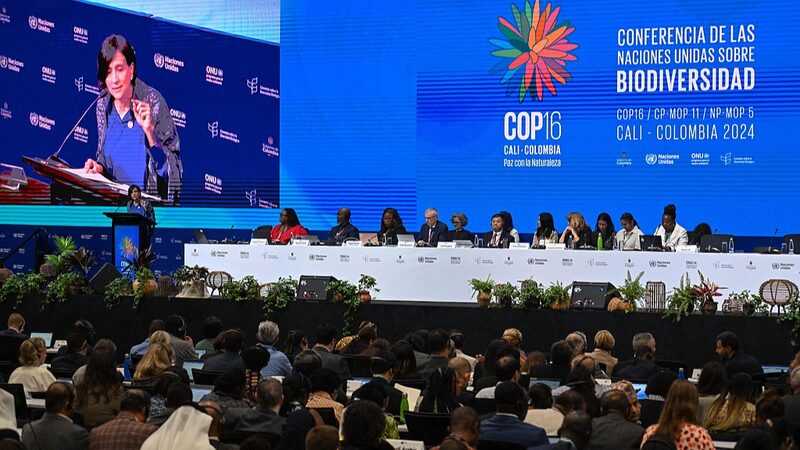 __World_Leaders_Demand_Urgent_Cash_to_Save_Nature_at_COP16_Summit
