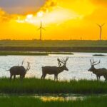 __World_Wetlands_Day_2023__Time_to_Restore_Our_Planet_s__Carbon_Superheroes__