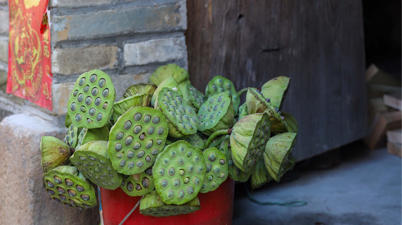 Wufu_s_Lotus_Seeds__Snack___Art___