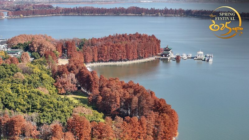 Wuhan_s_Skyline_Steals_the_Spotlight_at_Spring_Festival_Gala____poster - 🌍NewspaperAmigo – Your Global News Buddy 🗞️ Wuhan_s_Skyline_Steals_the_Spotlight_at_Spring_Festival_Gala___ video poster
