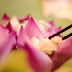 Wuxi_Blooms_with_Global_Lotus_Magic___