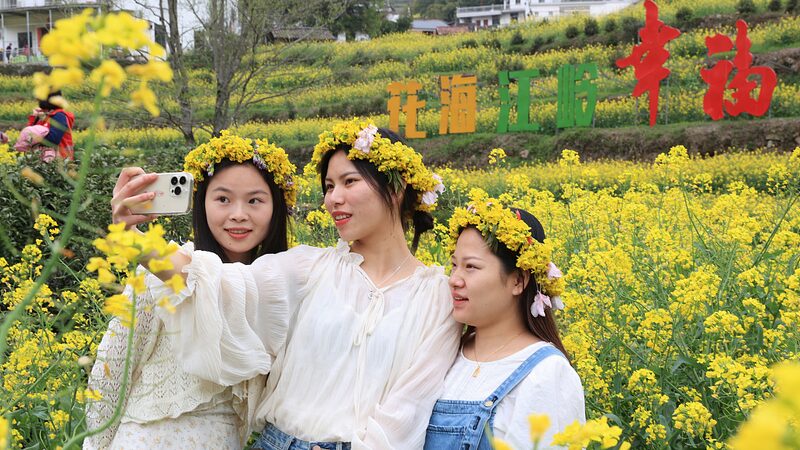 Wuyuan_s_Beautiful_Rapeseed_Fields__A_Springtime_Spectacle___