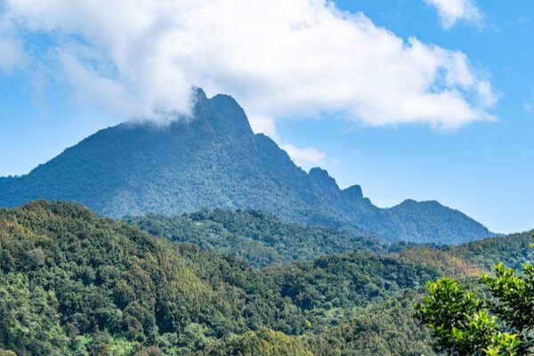 🌴 Wuzhi Mountain: Hainan’s Majestic ‘Five Fingers’ Peak 🏔️ __Wuzhi_Mountain__Hainan_s_Majestic__Five_Fingers__Peak___ video poster