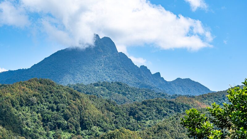 Wuzhi_Mountain__Hainan_s_Majestic__Five_Fingers__Peak____poster - 🌍NewspaperAmigo – Your Global News Buddy 🗞️ __Wuzhi_Mountain__Hainan_s_Majestic__Five_Fingers__Peak___ video poster