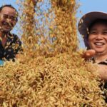 Xi_Celebrates_Farmers__Harvest_Festival_Amid_Push_for_Rural_Revitalization___