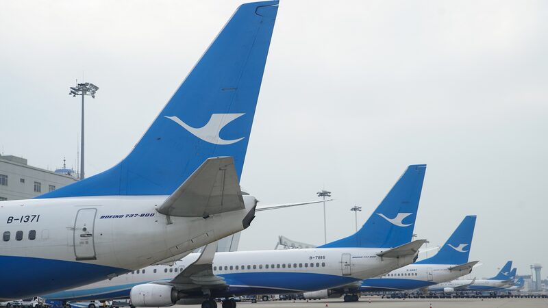 Xi_Jinping_Urges_Xiamen_Airlines_to_Boost_Cross_Strait_Ties____