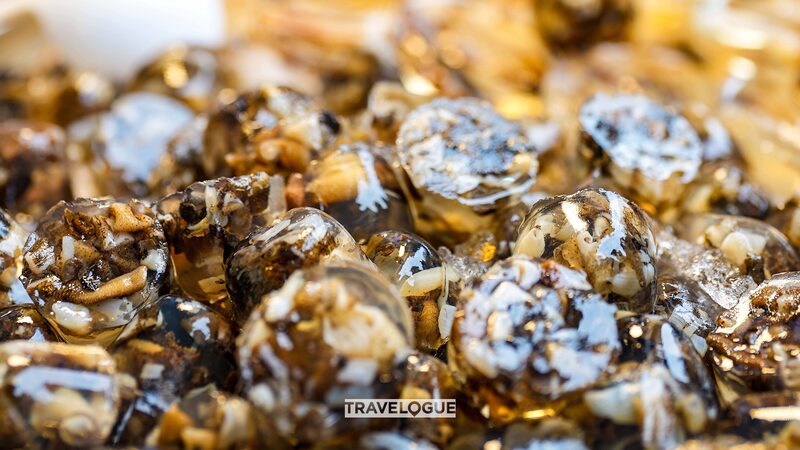 Xiamen_s_Sandworm_Snack__The_Real_Life__Dune__Delicacy___ - 🌍NewspaperAmigo – Your Global News Buddy 🗞️ Xiamen_s_Sandworm_Snack__The_Real_Life__Dune__Delicacy___