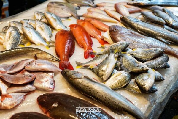 Xiamen’s Seafood Scene: A Fresh Dive Into Fujian’s Coastal Delights 🦀🌊 Xiamen_s_Seafood_Scene__A_Fresh_Dive_Into_Fujian_s_Coastal_Delights___
