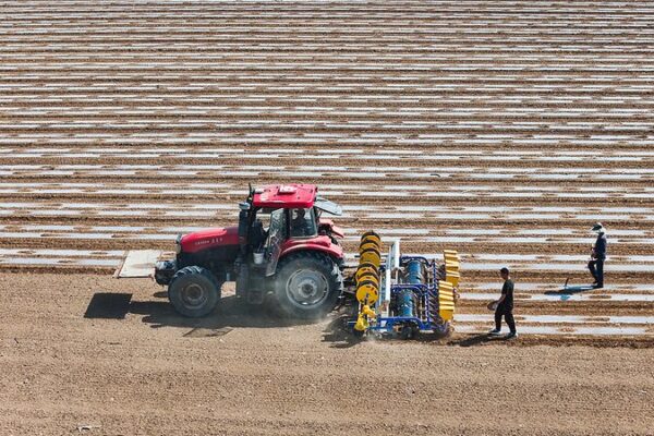 Xinjiang Cotton Industry Appeals for Fair Global Treatment 🌾✊ Xinjiang_Cotton_Industry_Appeals_for_Fair_Global_Treatment___