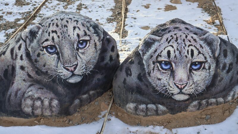 __Xinjiang_s_Rock_Art_Wonders_Attract_Global_Travelers__