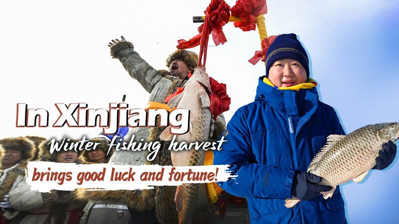 Xinjiang_s_Winter_Fishing_Festival_Reels_in_Festive_Vibes___Cultural_Pride__poster - 🌍NewspaperAmigo – Your Global News Buddy 🗞️ __Xinjiang_s_Winter_Fishing_Festival_Reels_in_Festive_Vibes___Cultural_Pride_ video poster