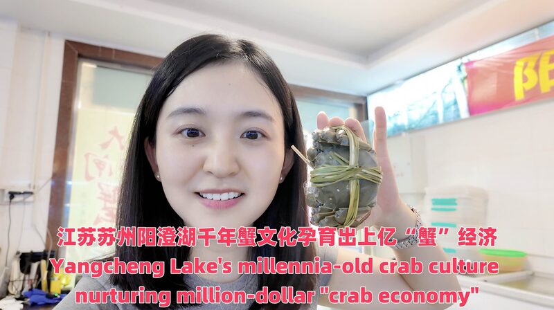 Yangcheng_Lake_Crabs_Stir_Up_Million_Dollar_Buzz____poster - 🌍NewspaperAmigo – Your Global News Buddy 🗞️ Yangcheng_Lake_Crabs_Stir_Up_Million_Dollar_Buzz___ video poster