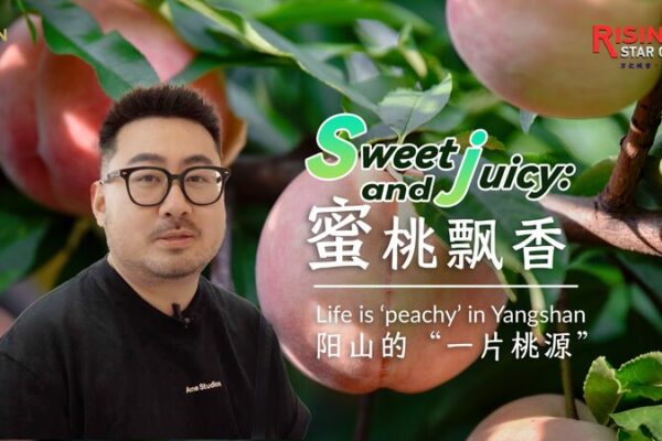 Yangshan_s_Honey_Peaches__Sweet_Secrets_of_Rural_Success___ video poster