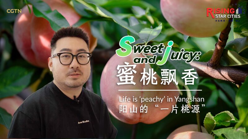 Yangshan_s_Honey_Peaches__Sweet_Secrets_of_Rural_Success____poster - 🌍NewspaperAmigo – Your Global News Buddy 🗞️ Yangshan_s_Honey_Peaches__Sweet_Secrets_of_Rural_Success___ video poster