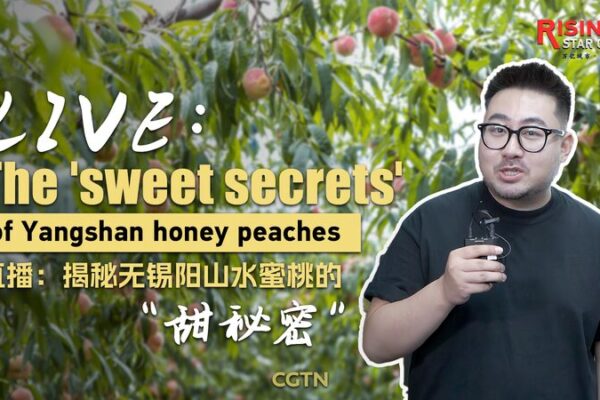Yangshan’s Sweet Secret: Unpacking the Hype Behind China’s Honey Peaches 🍑✨ Yangshan_s_Sweet_Secret__Unpacking_the_Hype_Behind_China_s_Honey_Peaches___ video poster