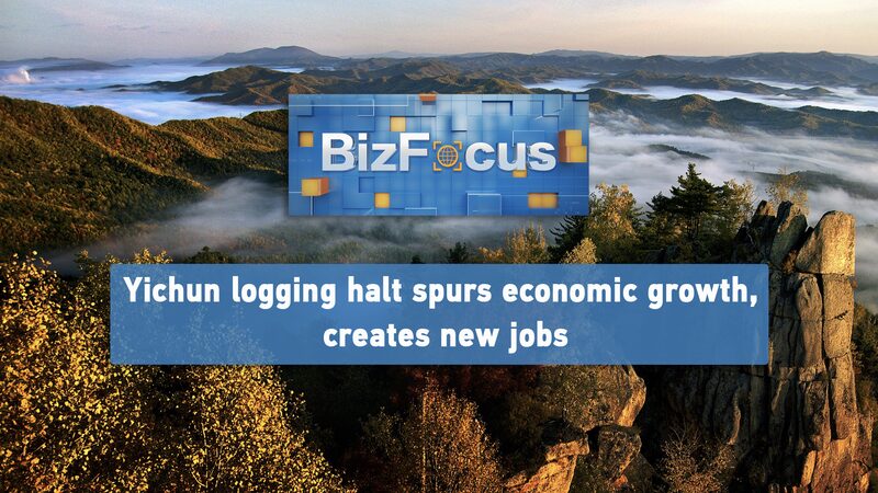 Yichun_s_Eco_Revolution__From_Logging_Ban_to_Economic_Boom____poster - 🌍NewspaperAmigo – Your Global News Buddy 🗞️ Yichun_s_Eco_Revolution__From_Logging_Ban_to_Economic_Boom___ video poster