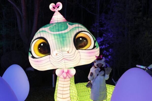 Yinchuan Lights Up 2025 with Stunning Snake Year Lantern Festival 🐍🏮 Yinchuan_Lights_Up_2025_with_Stunning_Snake_Year_Lantern_Festival___