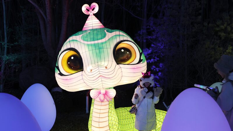 Yinchuan_Lights_Up_2025_with_Stunning_Snake_Year_Lantern_Festival___